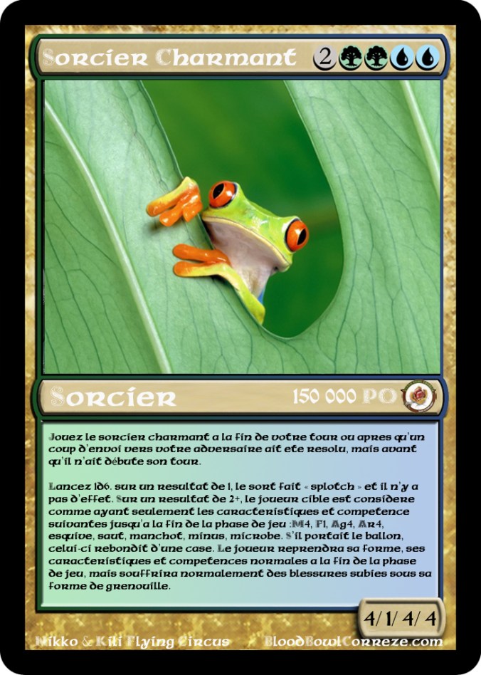 Sorcier-Charmant730
